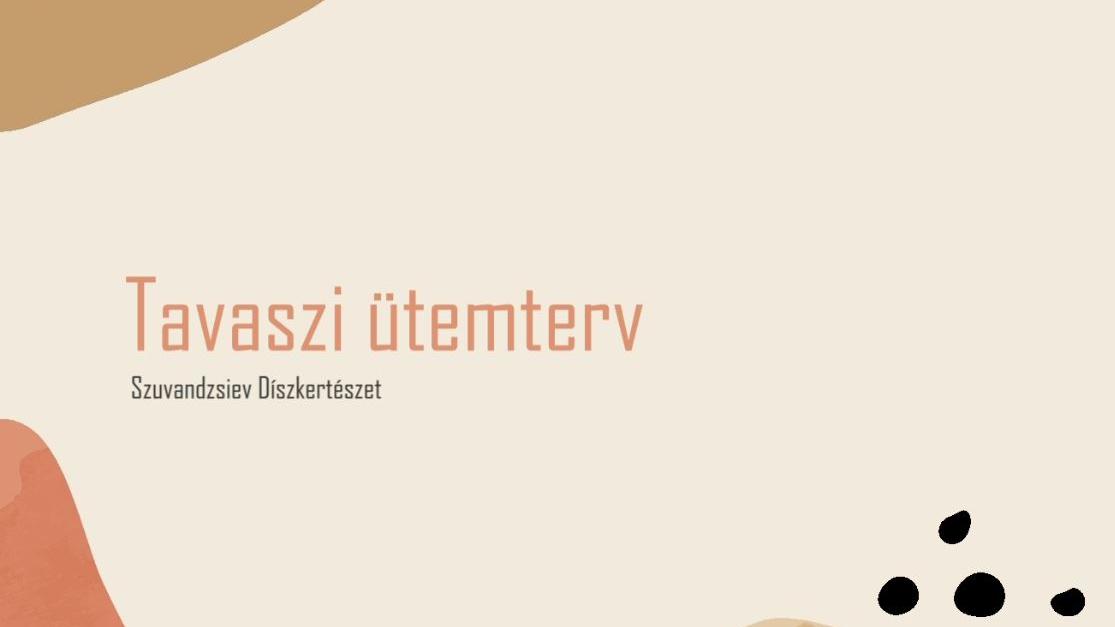Tavaszi ütemterv